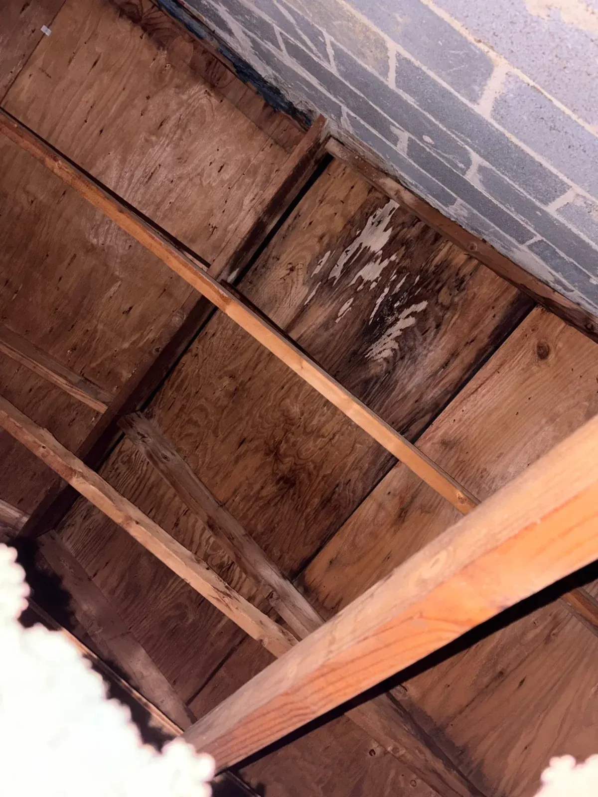 Exposed wood subfloor and framing with staining beside a masonry wall on an EMC water damage project