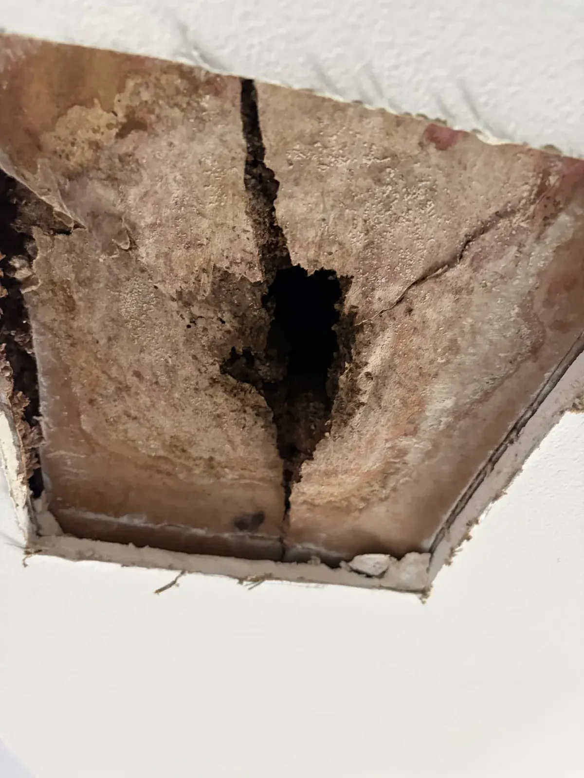 Opened ceiling with discolored and deteriorated material visible above the drywall on an EMC project