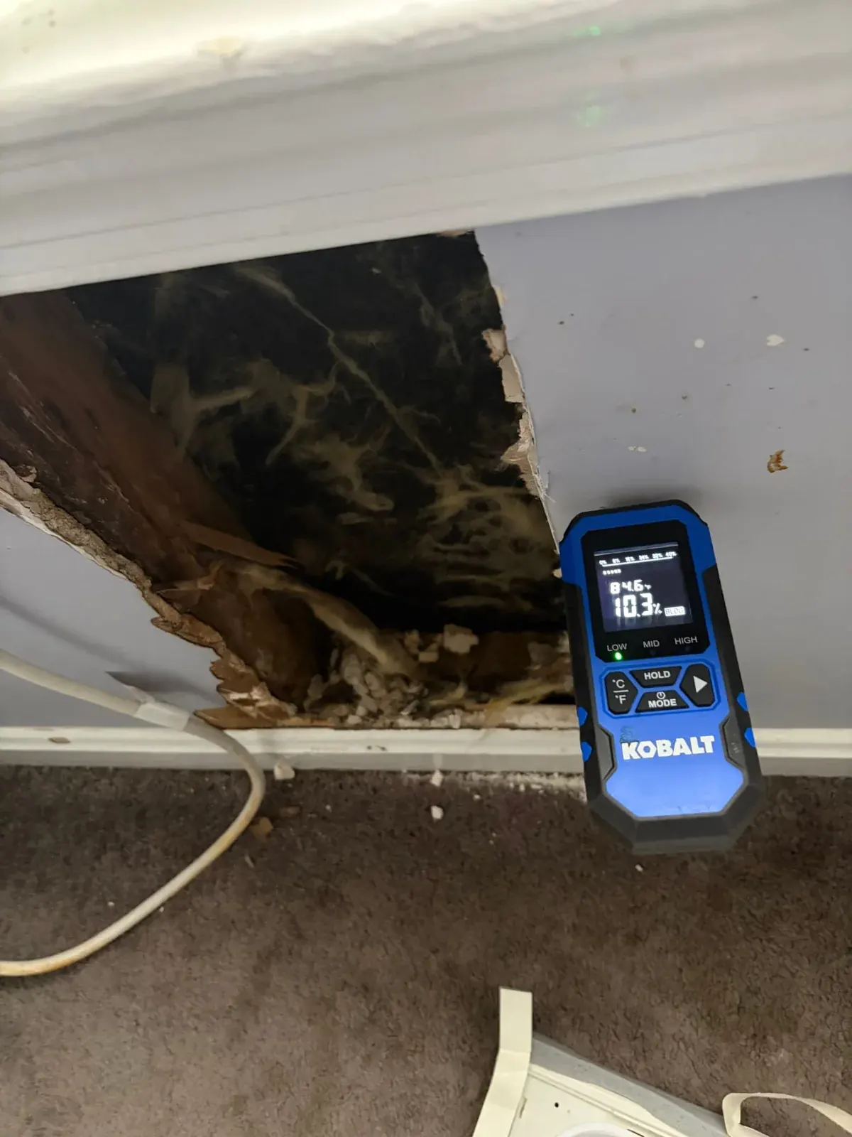 Kobalt moisture meter beside an opened wall cavity with insulation during an EMC water damage inspection